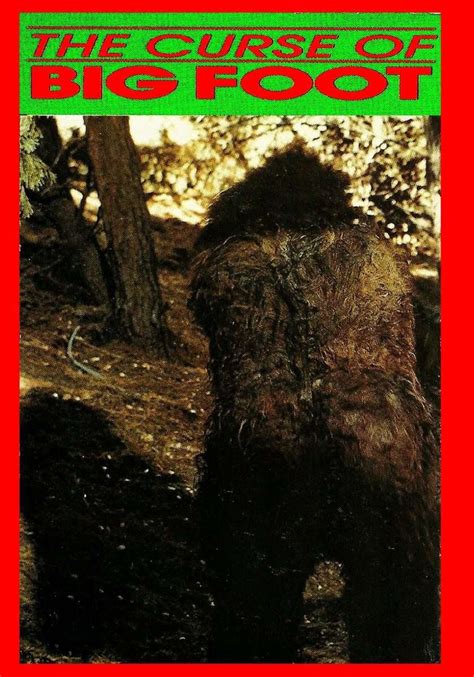 The Enigma of Bigfoot's Curse: A Paranormal Perspective